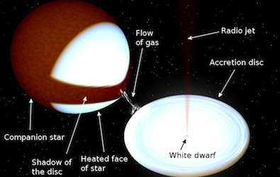 AAVSO in Science Magazine
