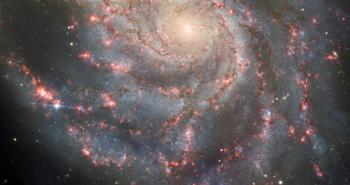 "SN2023ixf in the Pinwheel Galaxy."
