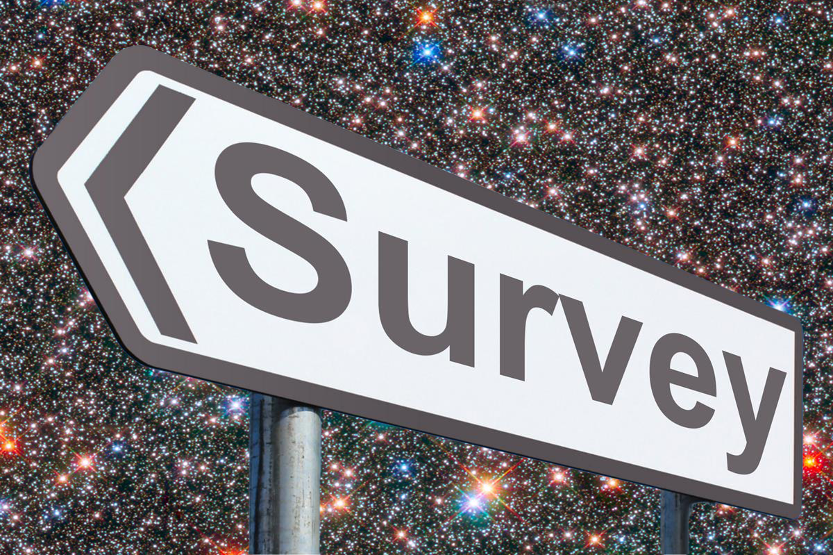 "A "survey" signpost against a backdrop of a starry sky.