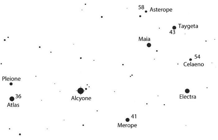 Pleione star comparison and finder chart